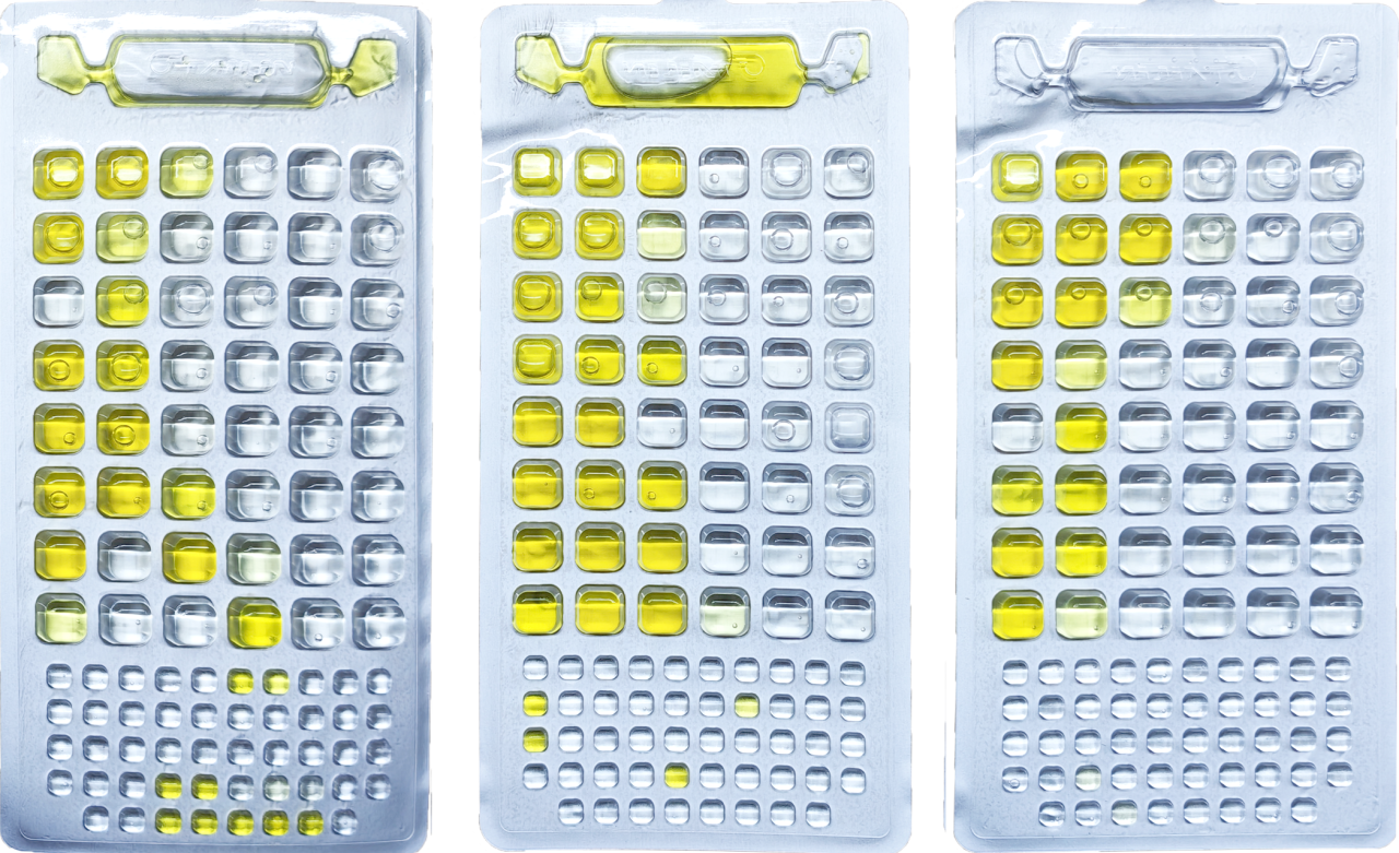 17744022849995629N7q.png 7.png